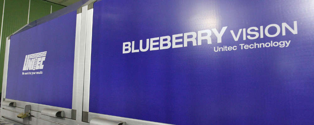 Blueberry Vision: une révolution dans l’industrie des myrtilles