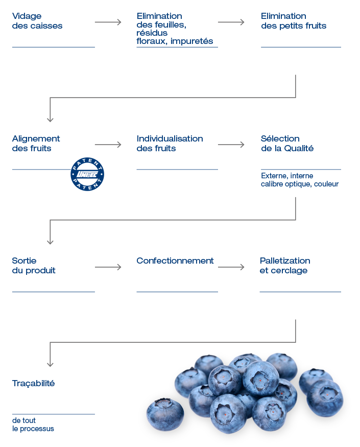 Classificazione della qualità