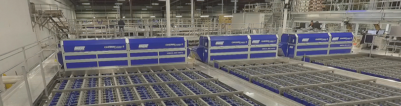 le système de calibrage Unitec Cerisier Vision 2 pour The Dalles Fruit Unitec Cherry Vision pour le calibrage des cerises de The Dalles Fruit
