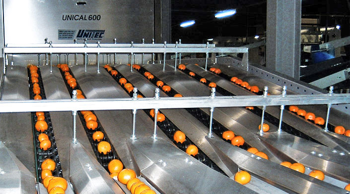 Installation pour le traitement des mandarines, des clémentines et autres agrumes