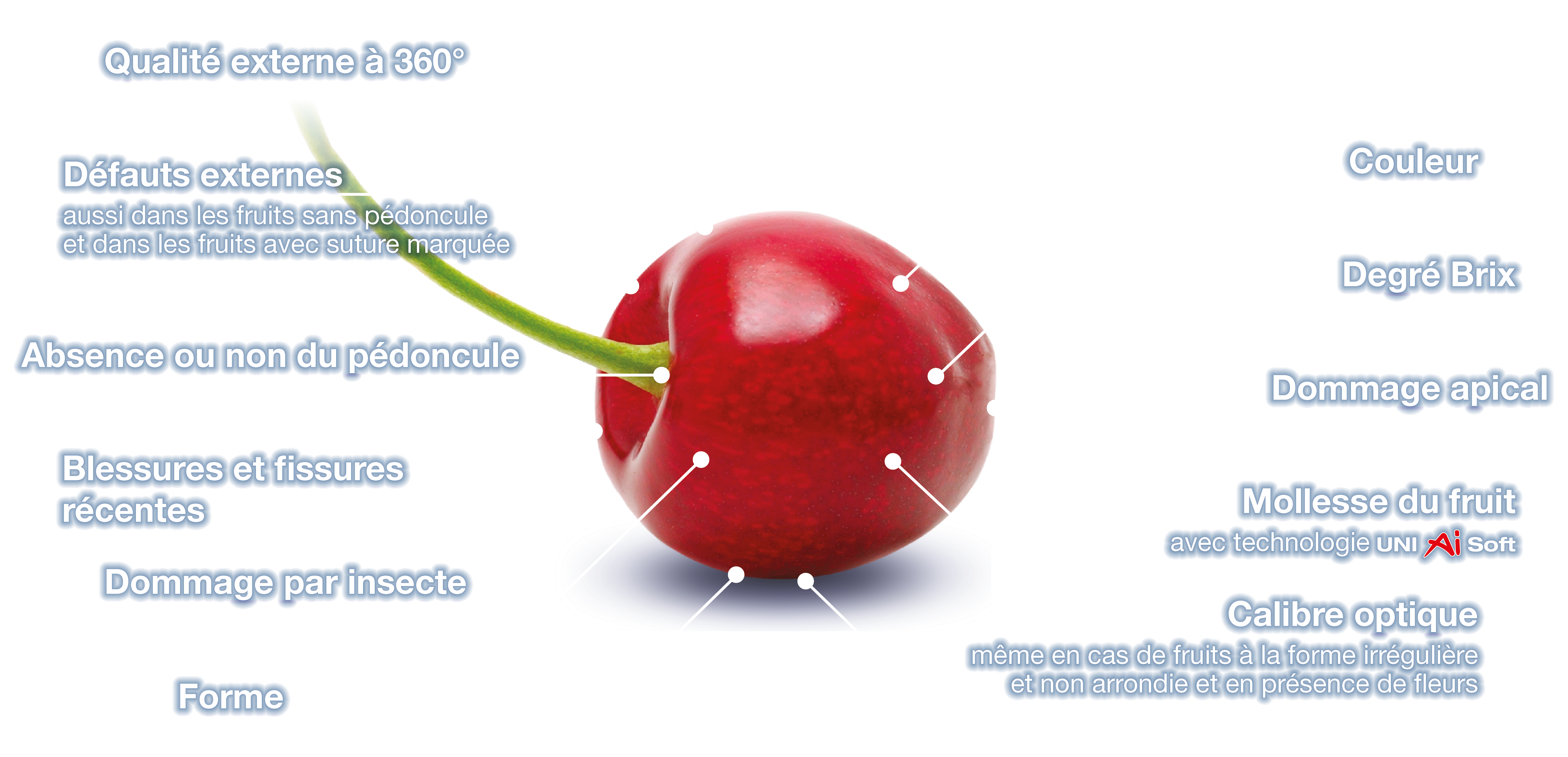 paramètres des cerises Unitec en français