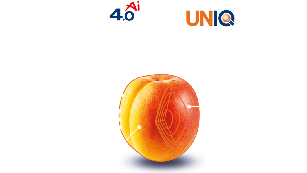 Tableau des paramètres de l'abricot UNITEC
